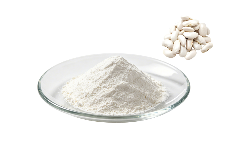 White Kidney Bean Extract Powder